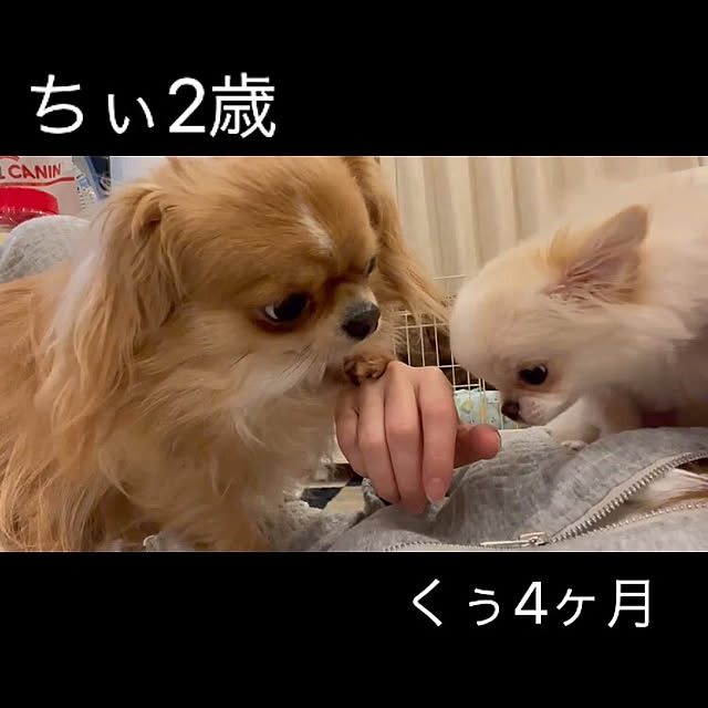 haruさんの実例写真