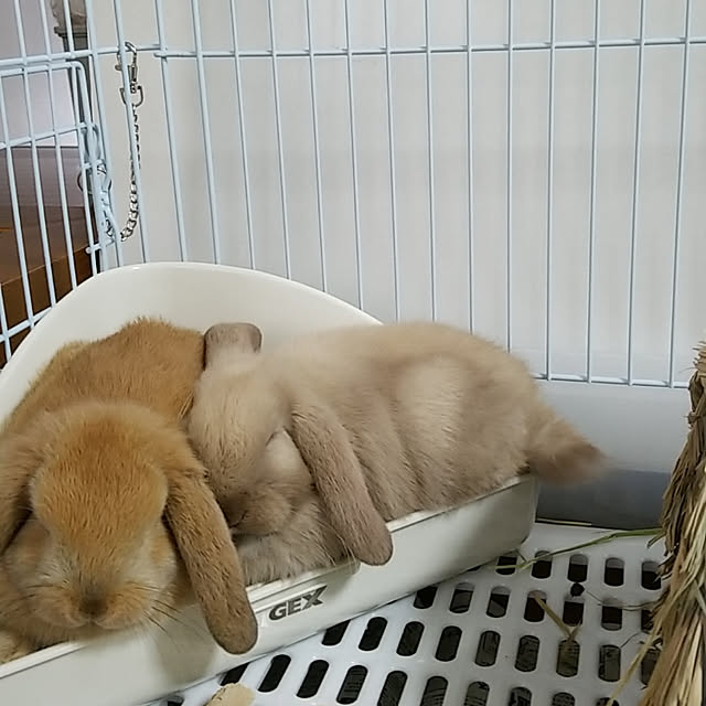 kominka_Lifeさんの実例写真