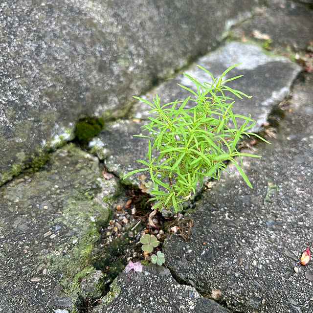fumikoiさんの部屋