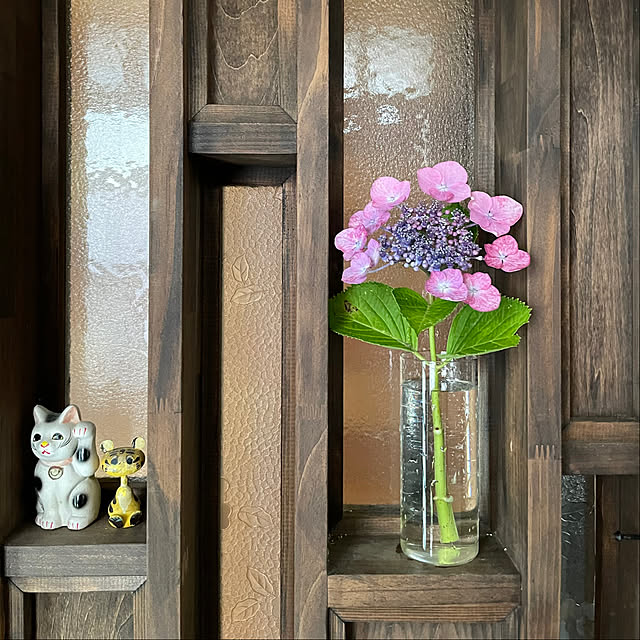 mutsuさんの部屋