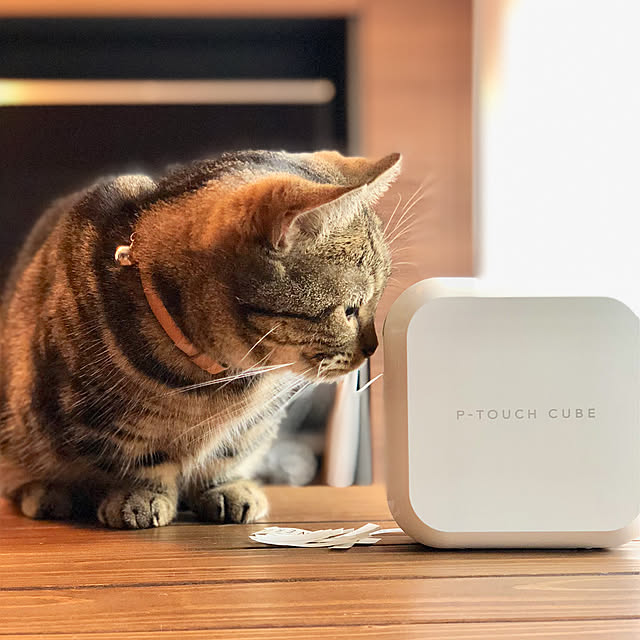 neuruさんの実例写真