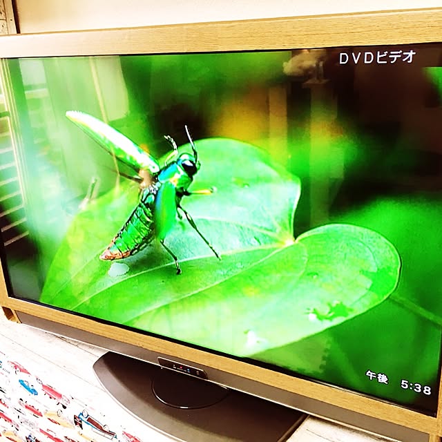 ryonamamaさんの実例写真