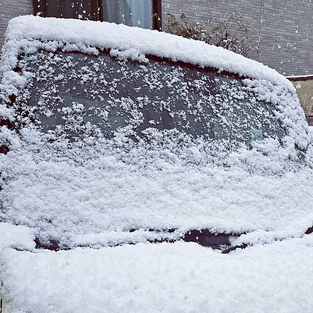 mocomocoさんの部屋