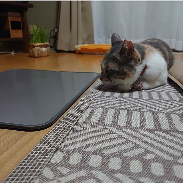 fukuさんの部屋