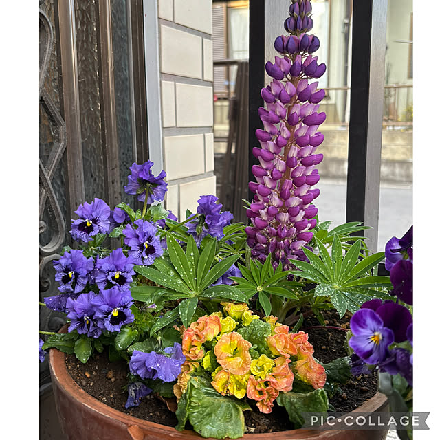 Smilkazuさんの部屋