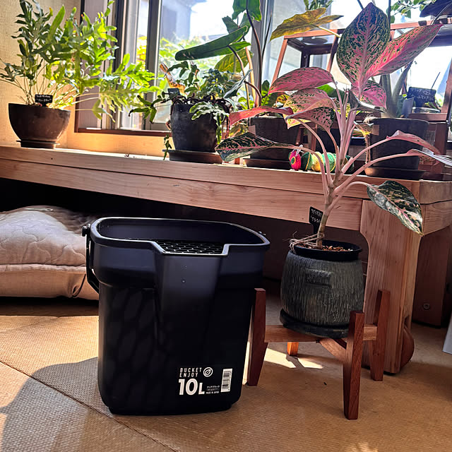 greycatsさんの部屋