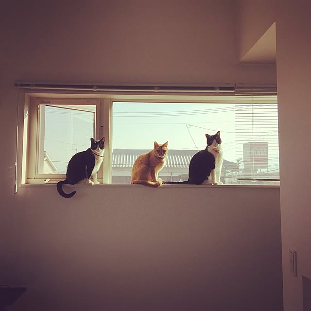 kana_0228さんの実例写真