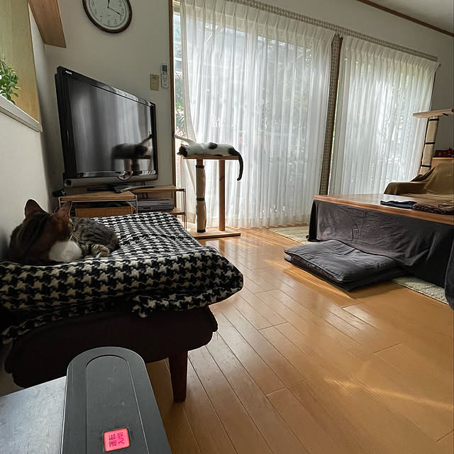 nobikoさんの実例写真