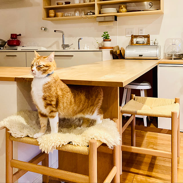 classiracさんの実例写真