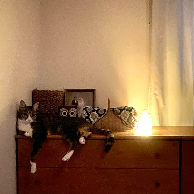 nobikoさんの実例写真