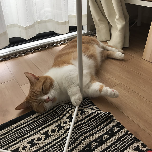 maruさんの実例写真