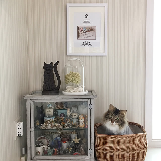 yuchiさんの実例写真