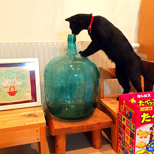 nanaさんの実例写真