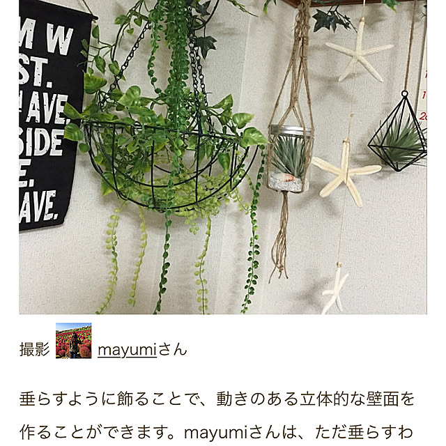 mayumiさんの実例写真