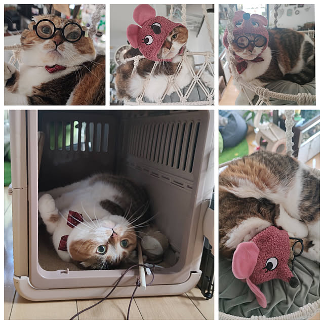 hiro3さんの実例写真