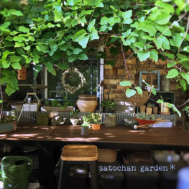 satochanさんの実例写真