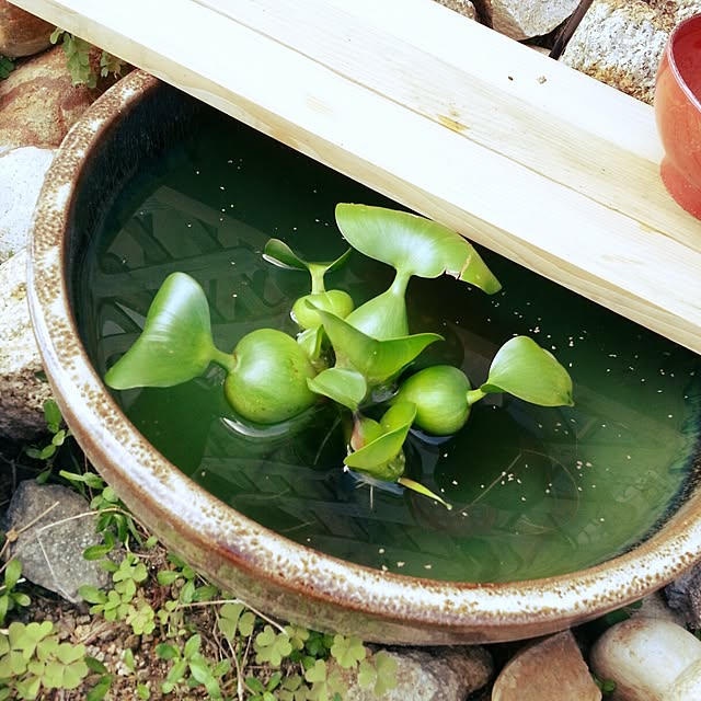 Ayakoさんの実例写真