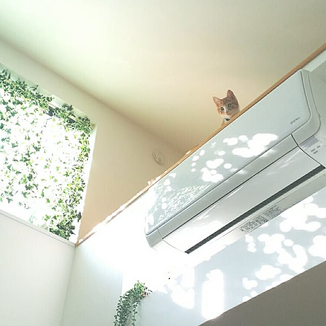 jjeennnniiffeerrさんの実例写真