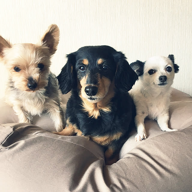 ohanaさんの実例写真