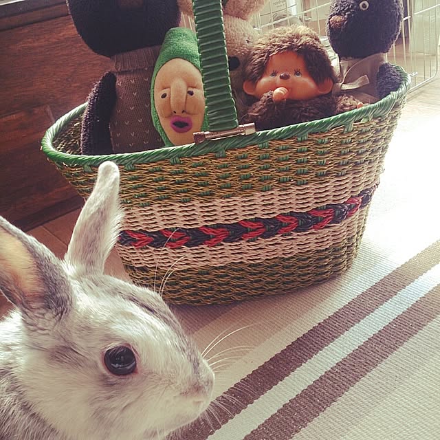 negiさんの実例写真