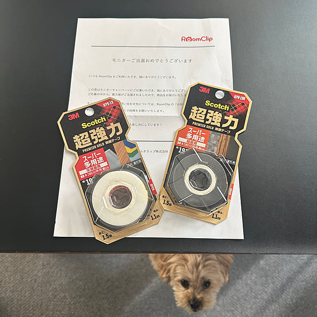 ikt.tamaさんの実例写真
