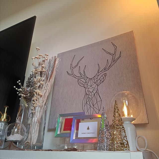 naさんの実例写真