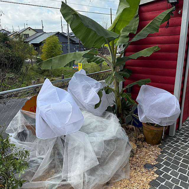 ngc6093さんの実例写真