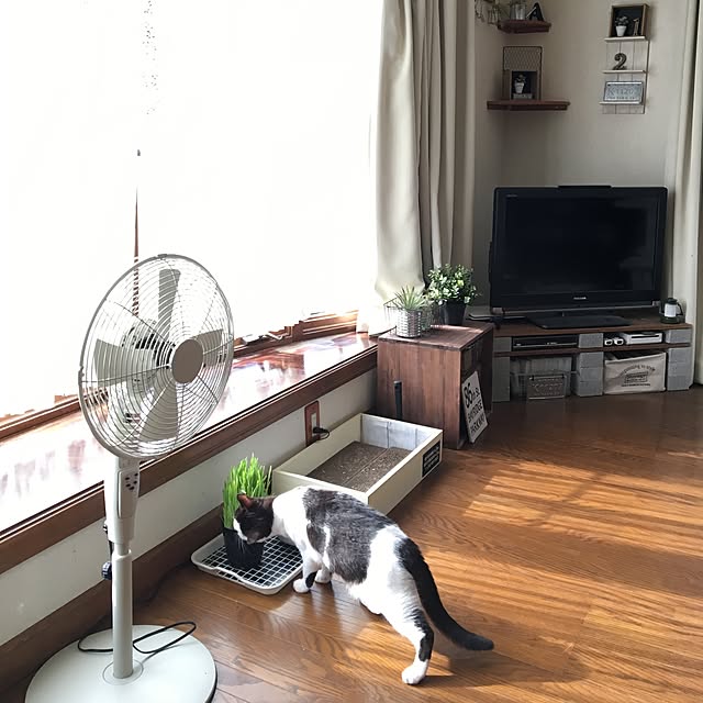 mahi1101さんの実例写真