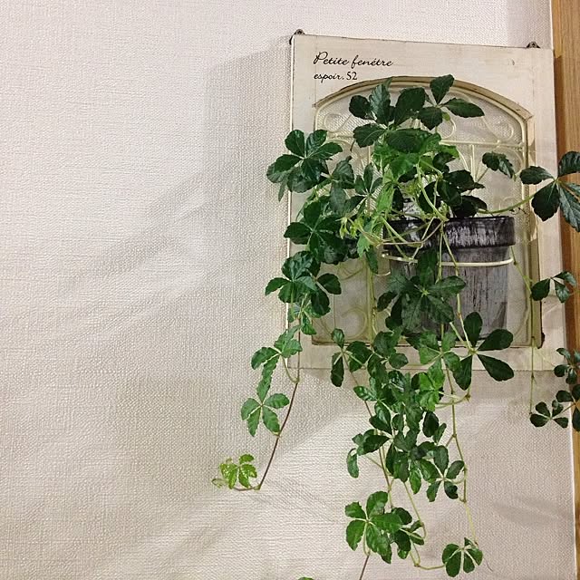 marikaさんの実例写真