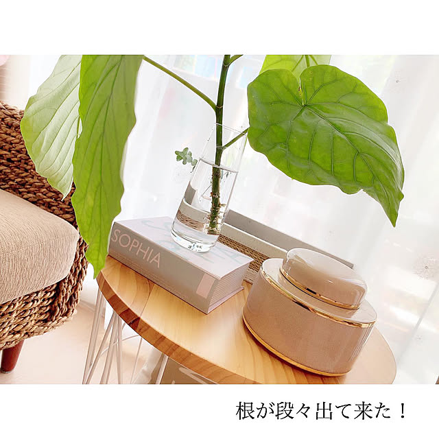 chaluさんの実例写真