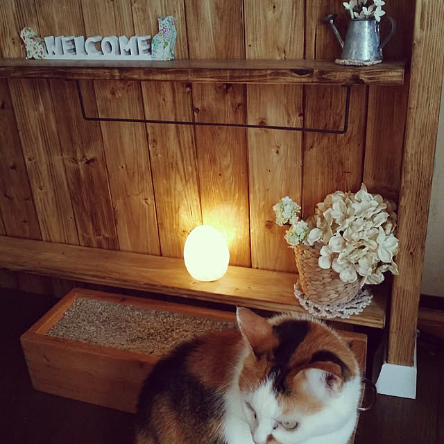 lecielさんの実例写真