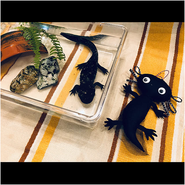 soramameさんの実例写真