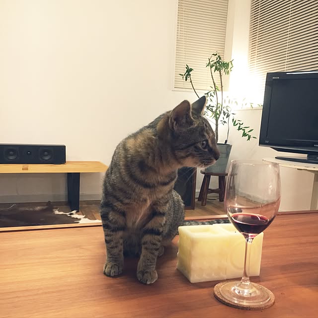 shijiminさんの実例写真