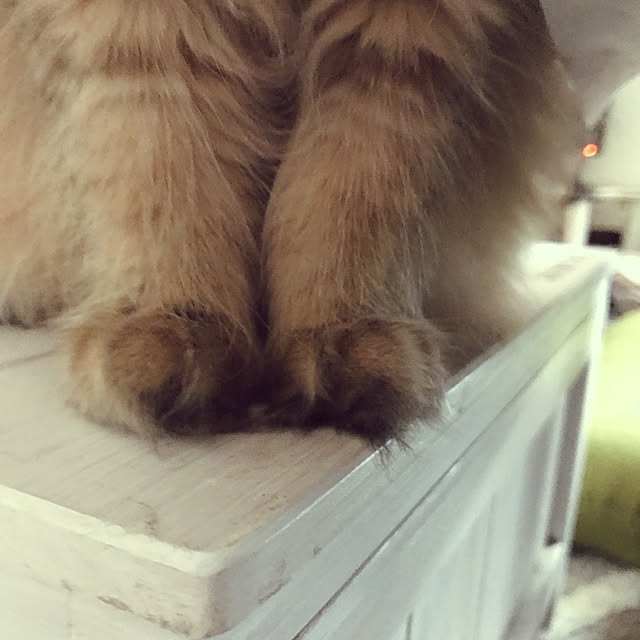 ichonさんの実例写真
