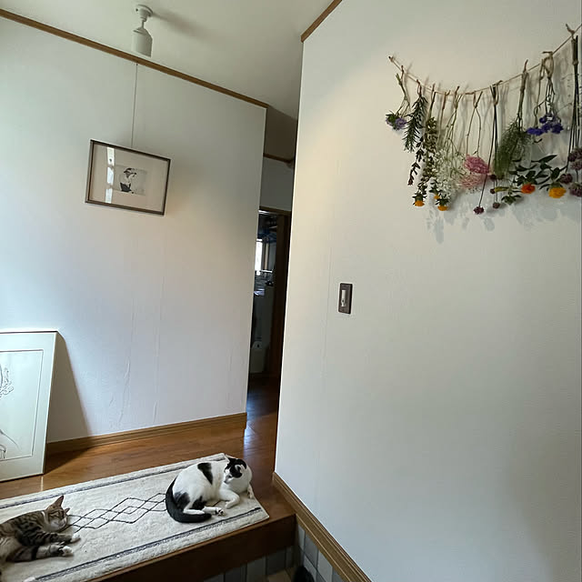 nobikoさんの実例写真