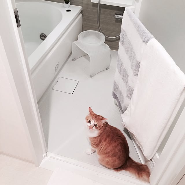 Reikoさんの実例写真
