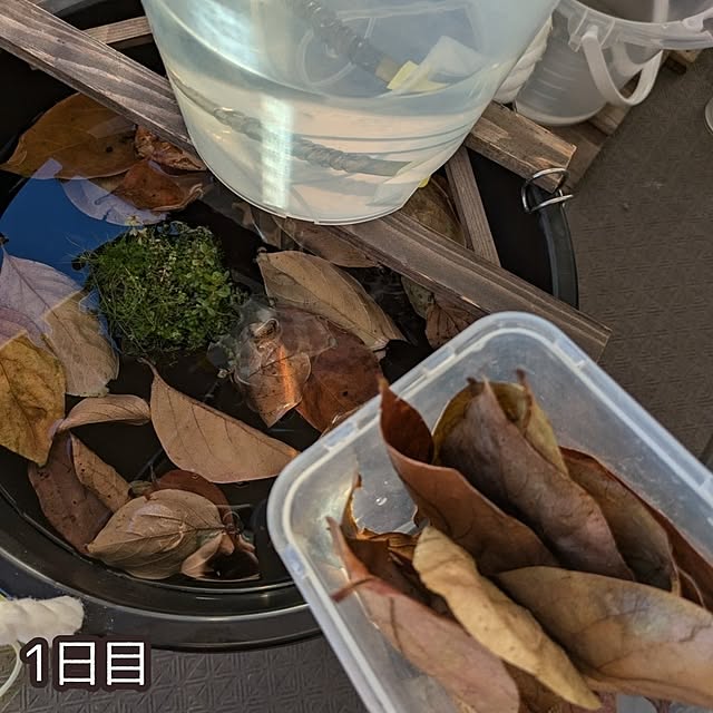 mi-saさんの部屋