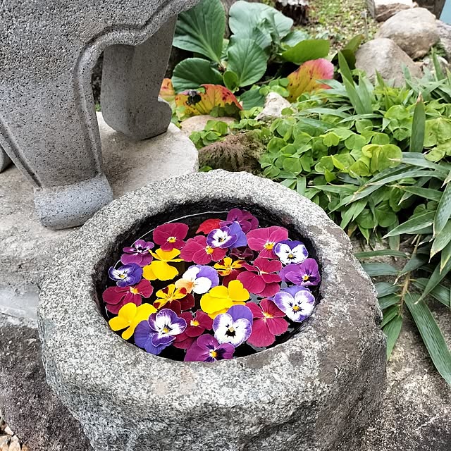 sumimarumiさんの部屋