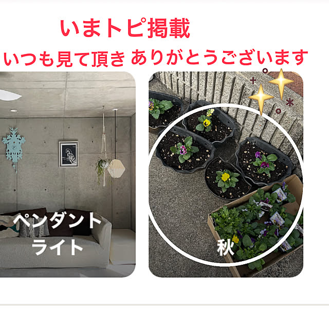 ritsukoさんの実例写真