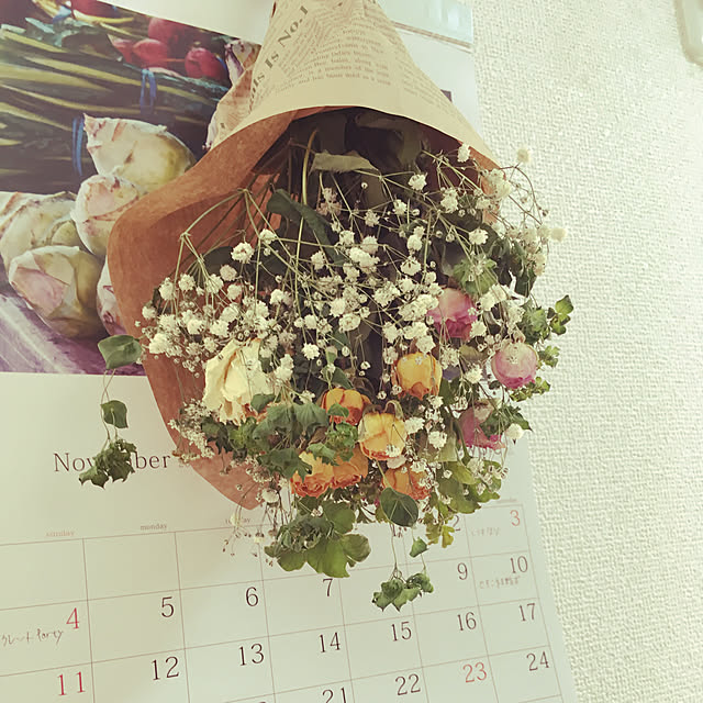 リビング/2LDK/2LDK賃貸マンション/植物のある暮らし/寄せ植え初心者...などのインテリア実例 - 2018-11-17 21:23:33