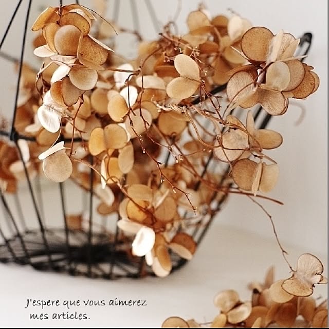 takimoto-manamiさんの実例写真