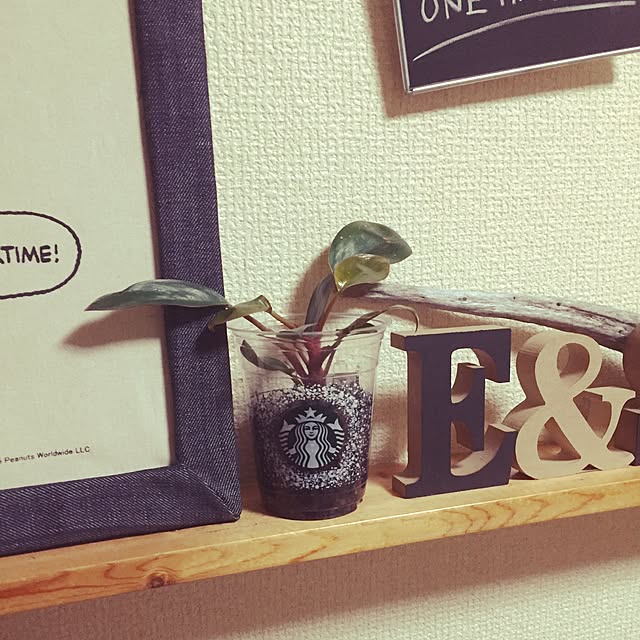 yo-koさんの実例写真