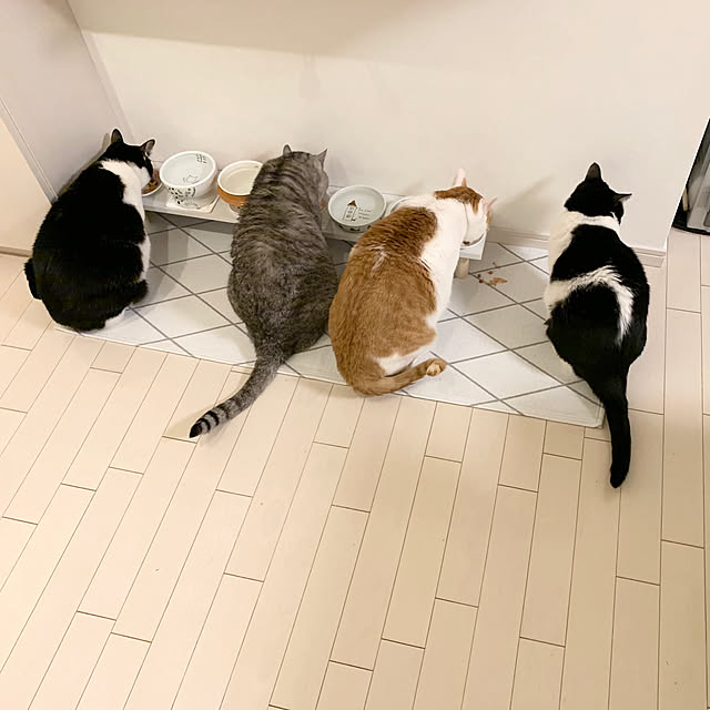 bikkeさんの実例写真