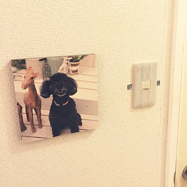 NOELさんの実例写真