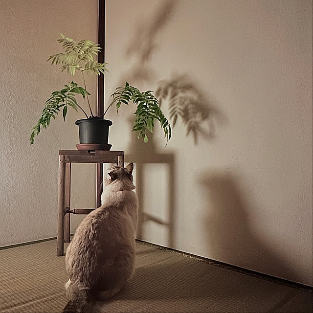 FUZIEEさんの実例写真