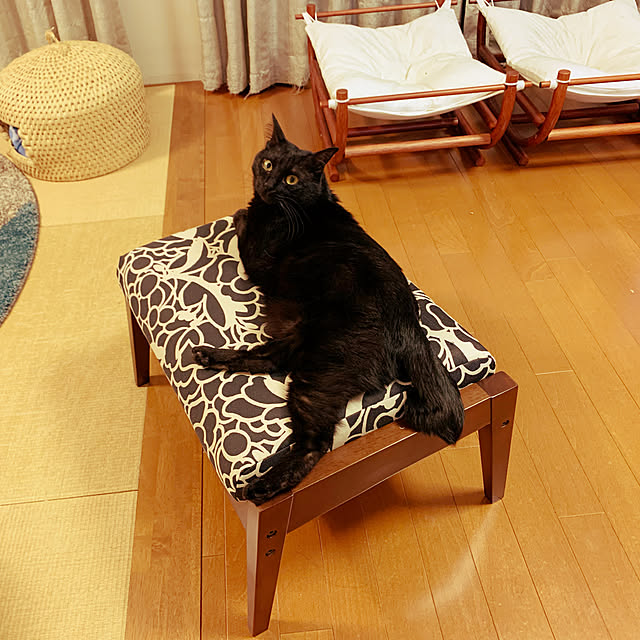 mameazさんの実例写真