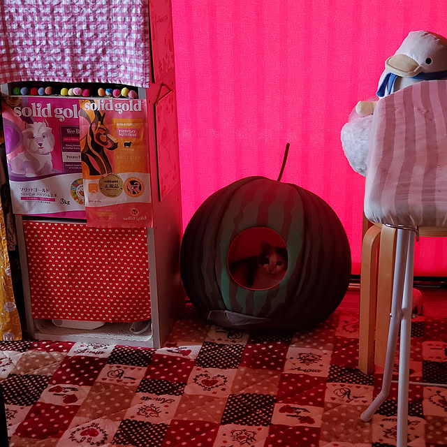 kumutanさんの実例写真