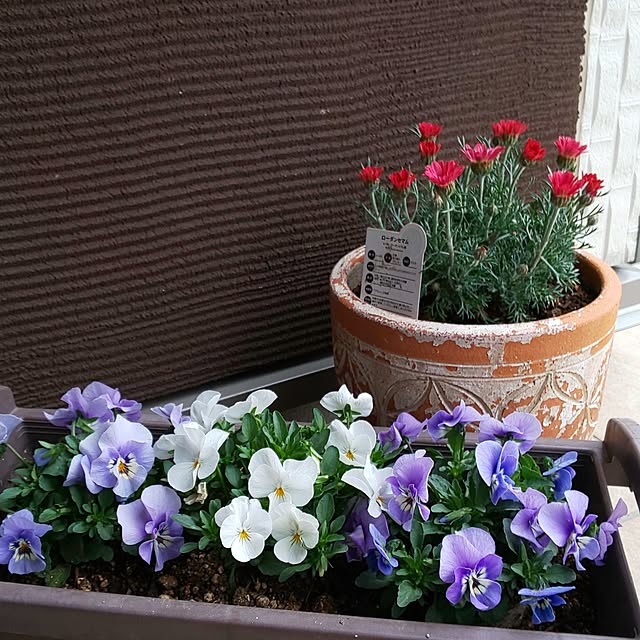 KOHAKUさんの部屋