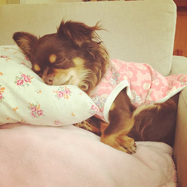 cookie_houseさんの実例写真