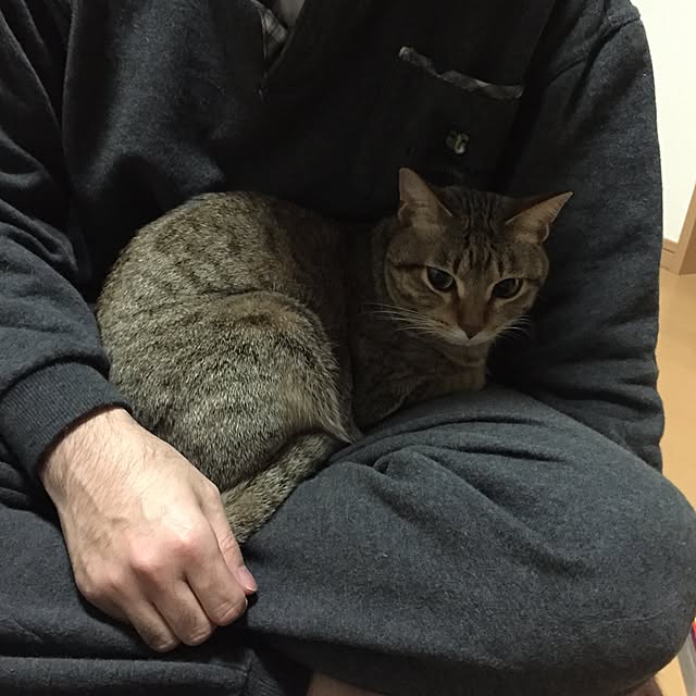 yuki0511さんの実例写真